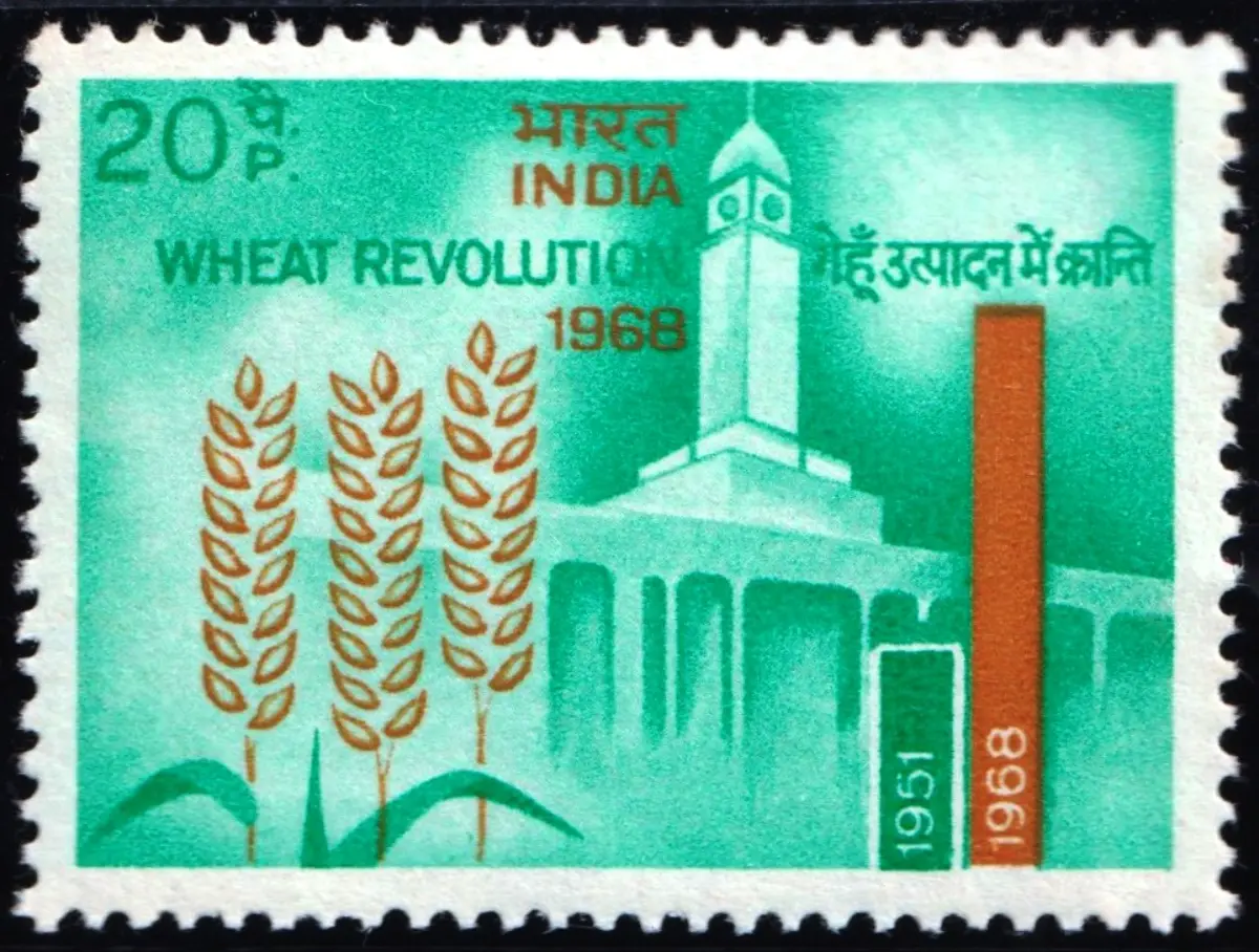 1968 Wheat Revolution (Wheat, Indian Agricultural Research